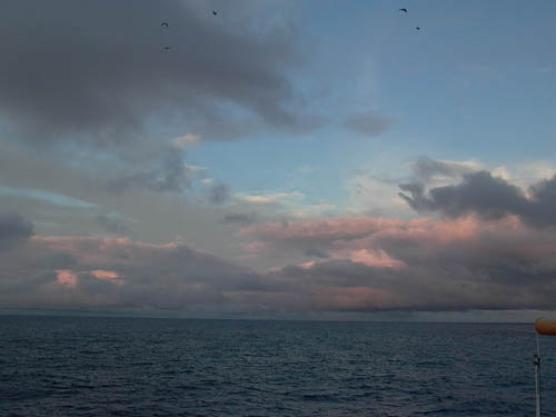 exp309_048